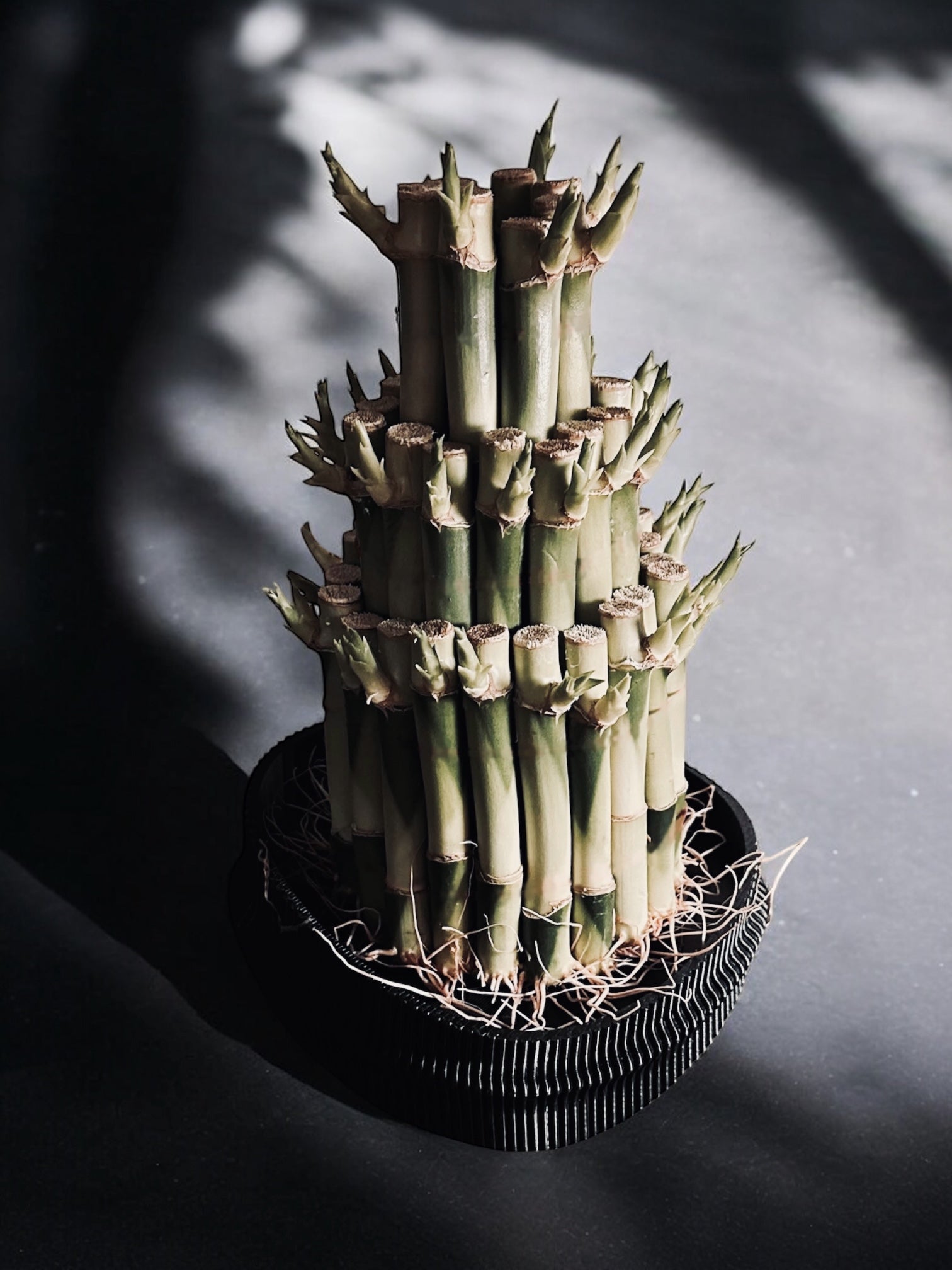 Bamboo Essence Vessel