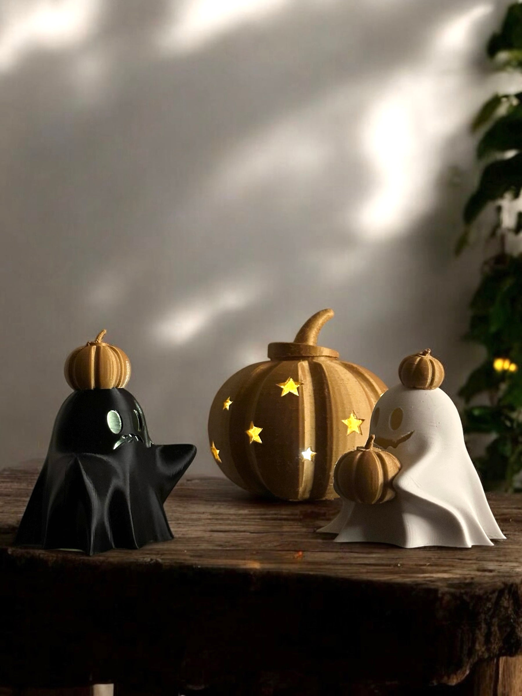 Boo & Pum